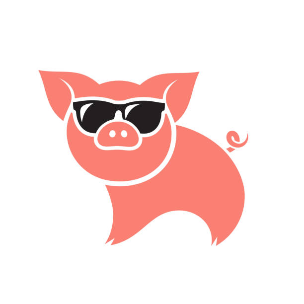 ilustrações, clipart, desenhos animados e ícones de ícone desgastando dos óculos de sol da cabeça do porco-ilustração do vetor - domestic pig