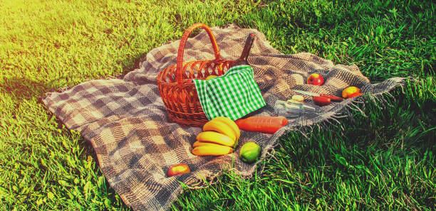 istock Plaid for a picnic on the grass. Selective focus. 1146075573