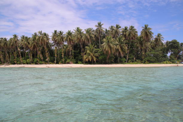 Bocas Del Toro-Panama The amazing Caribbean island of Bocas 8564 stock pictures, royalty-free photos & images