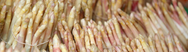 istock background of white asparagus 1146076381