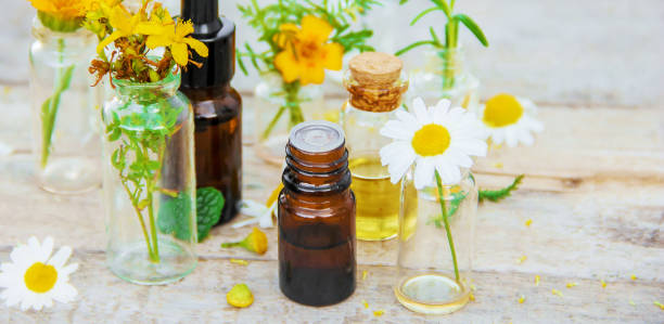 istock extracts of herbs in small bottles. Selective focus. 1146077212