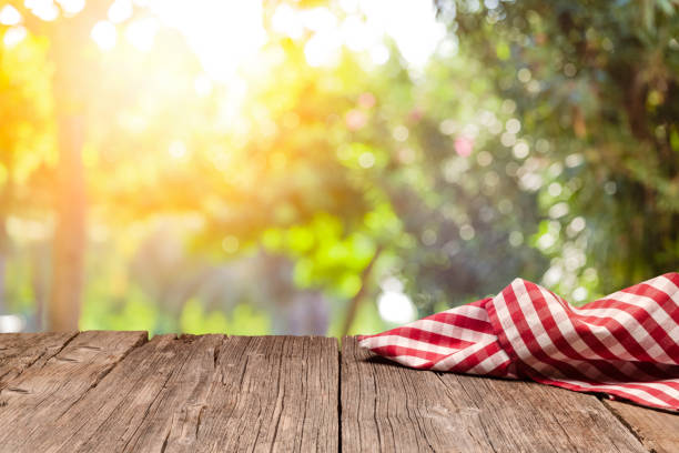 Empty rustic picnic table with gingham cloth against defocused nature background Backgrounds: eye view of an empty rustic wooden table with a crumpled red and white gingham cloth shot against defocused nature background. Useful copy space available for text, logo or product montage. Predominant colors are brown and yellow. DSRL outdoors photo taken with Canon EOS 5D Mk II and Canon EF 24-105mm f/4L IS USM Wide Angle Zoom Lens picnic table stock pictures, royalty-free photos & images