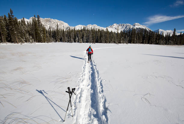istock Winter Snowshoe Adventure 1146078519