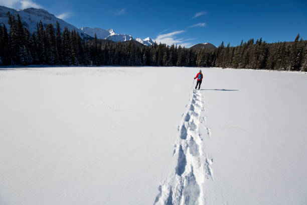 istock Winter Snowshoe Adventure 1146078529