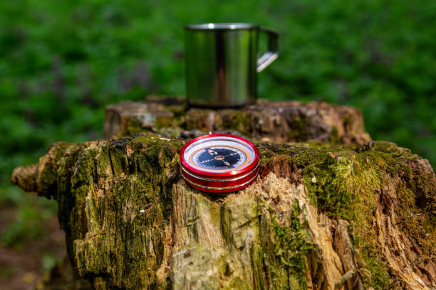 istock Tourist steel cup and compass in the summer forest 1146078547