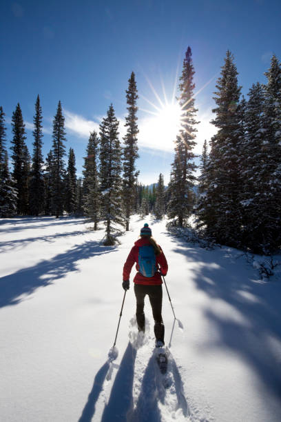 istock Winter Snowshoe Adventure 1146078587