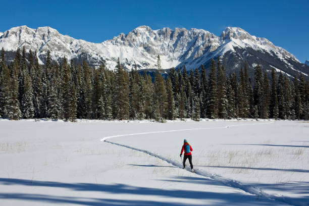 istock Winter Snowshoe Adventure 1146078842