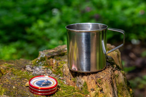 istock Tourist steel cup and compass in the summer forest 1146078883