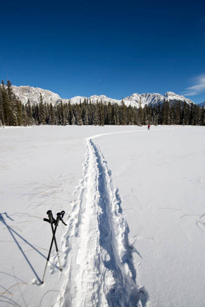 istock Winter Snowshoe Adventure 1146078987