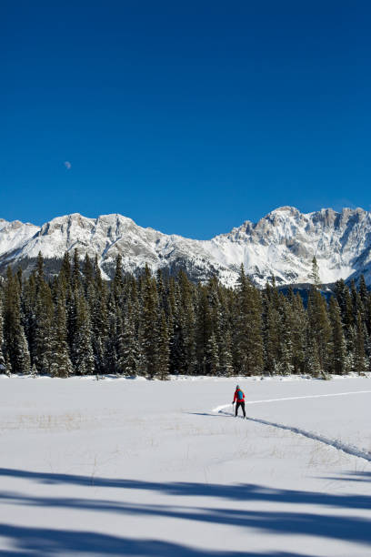 istock Winter Snowshoe Adventure 1146079034