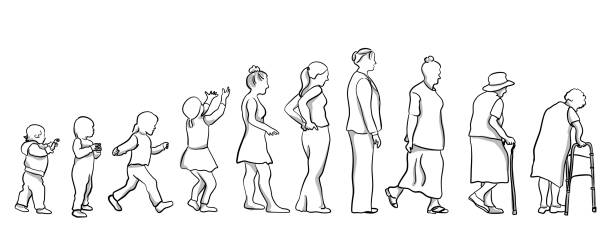 Aging Naturally Aging process of a woman, from the time she is a baby until she is a very old woman in a sketch baby heart rate stock illustrations