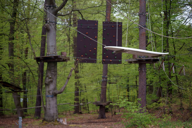 hindernislauf im kletterwald - kletterpark wald stock-fotos und bilder