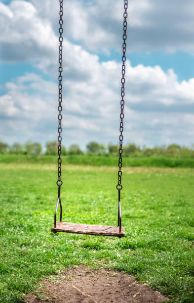 istock Children's swing hanging in a green meadow 1146082067