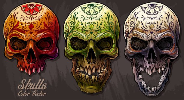 szczegółowy zestaw kolorowych ludzkich czaszek - sketch skull people anatomy stock illustrations