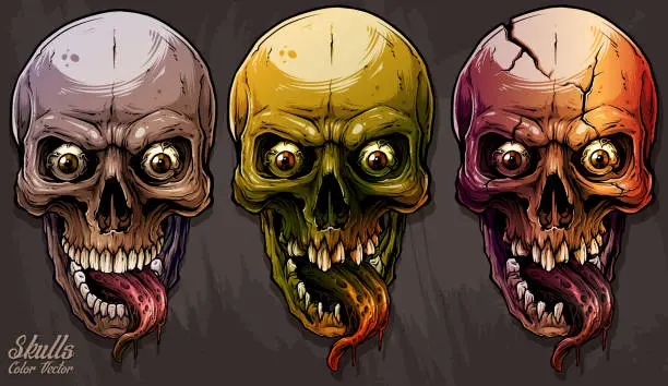 Vector illustration of Detailed graphic colorful human skulls set