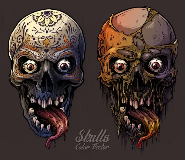 Vector illustration of Detailed graphic colorful human skulls set