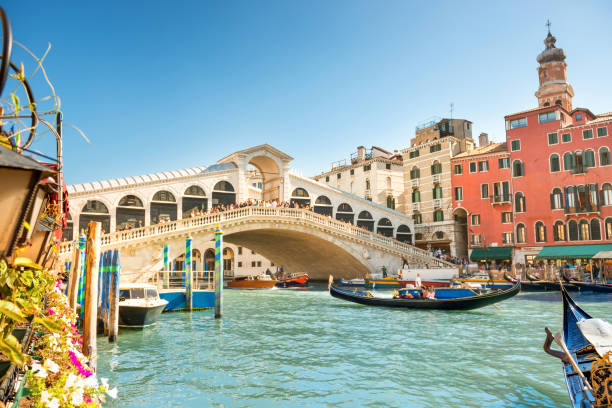 istock Rialto bridge on Grand canal 1146089166