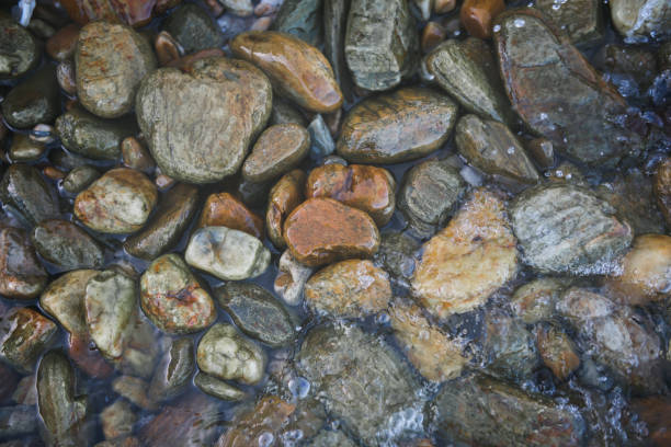 Mix colorful sea rocks background with grey tone color applied concept.