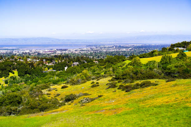 View towards Redwood City and Menlo Park; hills and valleys covered in green grass and wildflowers visible in the foreground, Silicon Valley, San Francisco bay, California View towards Redwood City and Menlo Park; hills and valleys covered in green grass and wildflowers visible in the foreground, Silicon Valley, San Francisco bay, California redwood city stock pictures, royalty-free photos & images