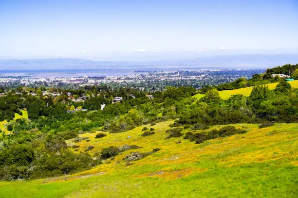 Photo of View towards Redwood City and Menlo Park; hills and valleys covered in green grass and wildflowers visible in the foreground, Silicon Valley, San Francisco bay, California
