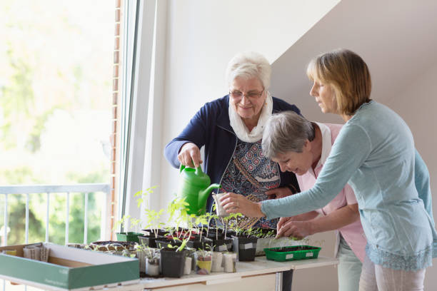 istock senior women groing seedlings indoors 1146093891