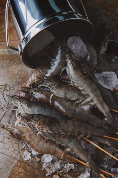 istock Shrimps or prawns and ice bucket. 1146093981