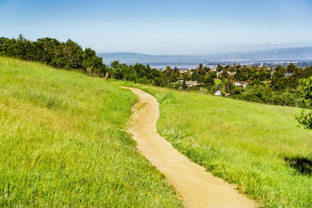 sentiero sulle colline di edgewood county park, san francisco bay area, redwood city, california - hiking mountain dirt scenics foto e immagini stock