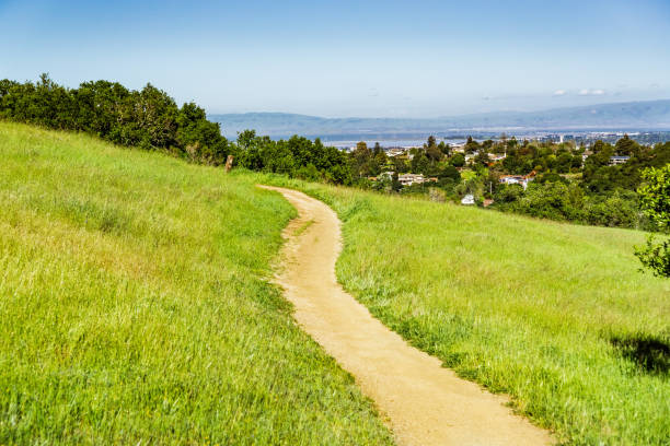 szlak na wzgórzach edgewood county park, san francisco bay area, redwood city, kalifornia - hill green california grass zdjęcia i obrazy z banku zdjęć