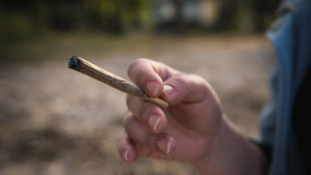 The person smoking marijuana joint outdoors. Cannabis joint in the hand The person smoking marijuana joint outdoors. Cannabis joint in the hand blunts stock pictures, royalty-free photos & images