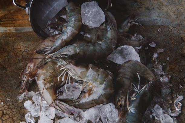 istock Shrimps or prawns and ice bucket. 1146095421