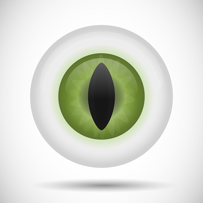 Vector illustration of an detailed green reptilian eyeball and vertical iris