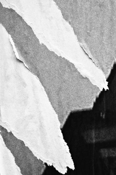 istock Blank black white old ripped torn paper crumpled creased posters grunge textures backdrop backgrounds surface placard 1146096853