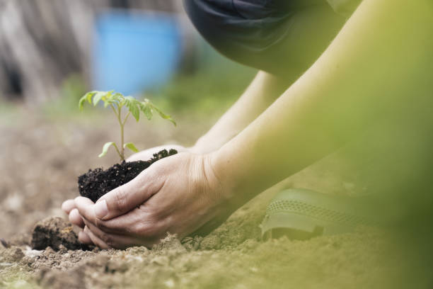 Environmental conservation. Care about what surrounds you.