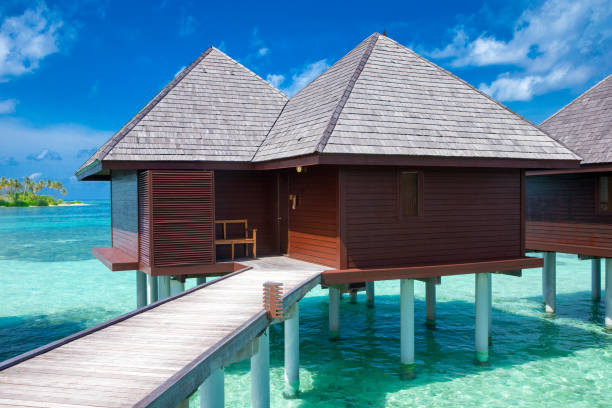 istock tropical Maldives island with white sandy beach and sea 1146099199