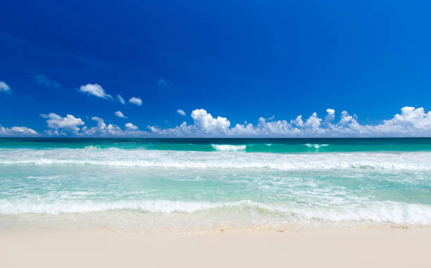 istock tropical Maldives island with white sandy beach and sea 1146099286