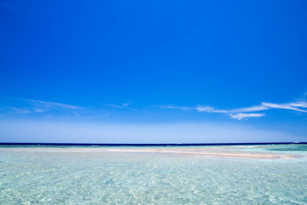 istock tropical Maldives island with white sandy beach and sea 1146100673