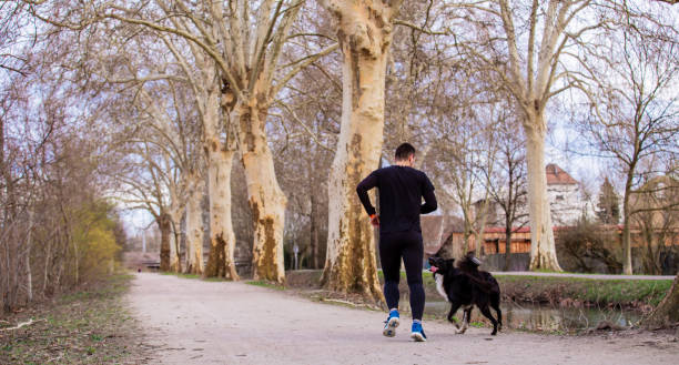istock Man runs with his dog city park 1146102861