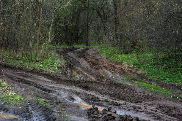 istock Offroad dirt puddle forest nature 1146103954
