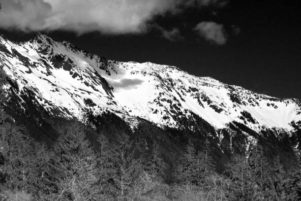 istock Olympic Mountains In The Hoh Rainforest 1146104304