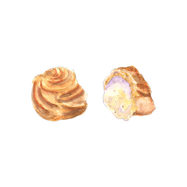 Cream puff Watercolor painting of cream puff. French pastry. Profiterole filled with cream. Isolated on white background - Illustration cream cake stock illustrations