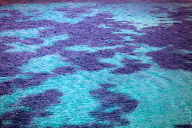 istock Highview of Transparent Sea 1146105660