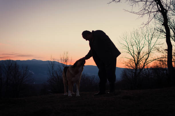 A silhouettes of a man and big dog, beautiful colorful sunset in mountains. A man cuddle his big dog at the rural in the mountains during beutiful sunset in the background. Friendship between a man and dog.