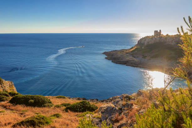 wybrzeże salento: widok na zatokę uluzzo z wieżą strażniczą . - włochy (apulia) - regionalny park przyrody porto selvaggio i palude del capitano jest skalisty i postrzępiony, z lasami sosnowymi i zaroślami śródziemnomorskimi. - grass area grass summer horizon zdjęcia i obrazy z banku zdjęć