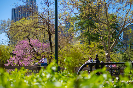 New York, United States - April 24, 2019: A group of people enjoying the sunny day, riding their bikes throught the central park
