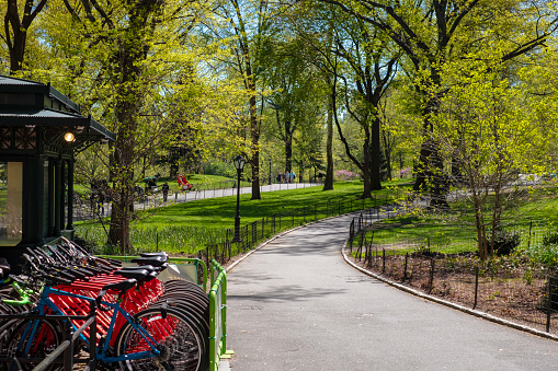 New York, United States - April 24, 2019: A group of people walking through the central park