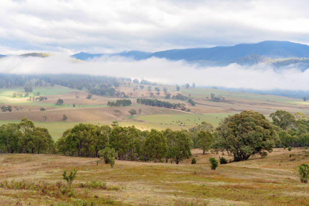 istock Fog Over Country Landscape 1146114808