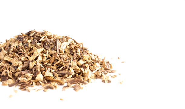 istock Dried Echinacea Root in a Pile on a White Background 1146115786