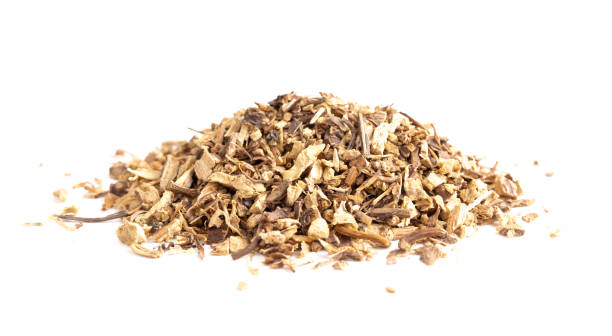 istock Dried Echinacea Root in a Pile on a White Background 1146115997