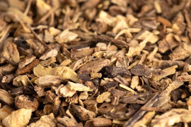 istock A Background of Dried Echinacea Root 1146116747