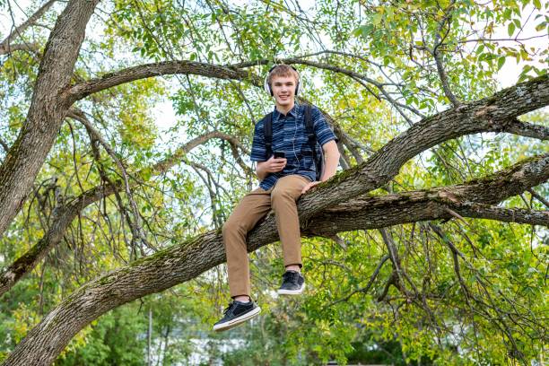 istock Student listening to music in a tree. 1146118994